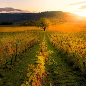 Meet your Posher, Edgar